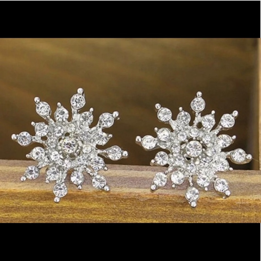 Snow Flakes Crystal Stub Earrings